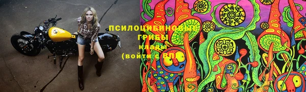 прущие крисы Богородск