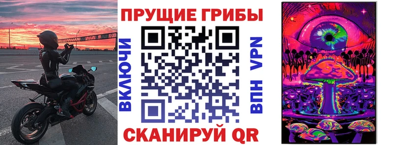 Купить где  Белый  Псилоцибиновые грибы мухоморы 